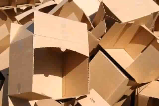 Cardboard Scrap